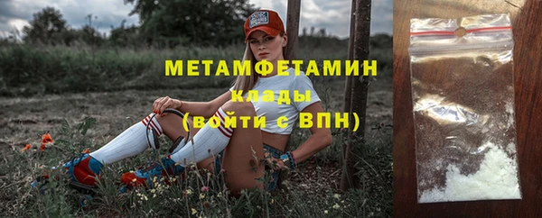 крисы Богородицк