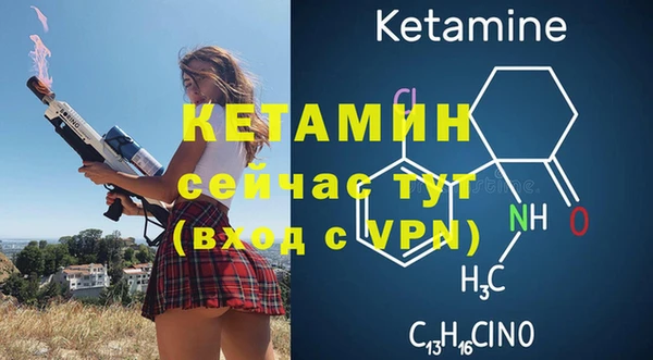 крисы Богородицк