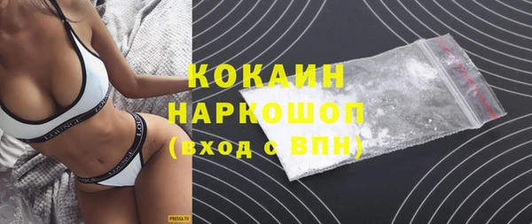 крисы Богородицк