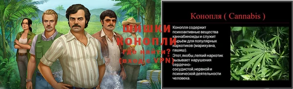 твердый Бородино