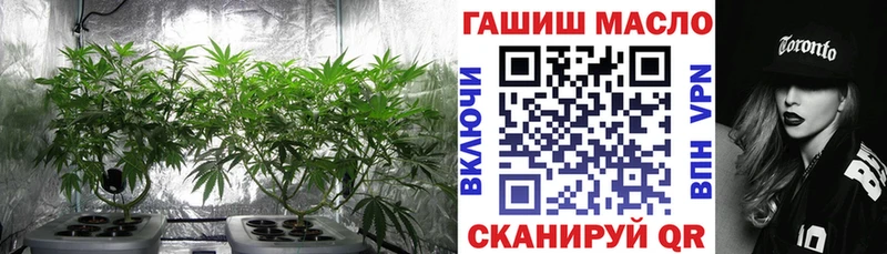 дарнет шоп Касли Дистиллят ТГК Wax