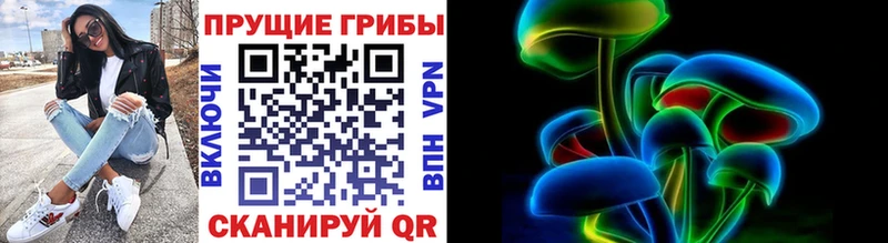 купить закладку Касли Псилоцибиновые грибы MAGIC MUSHROOMS